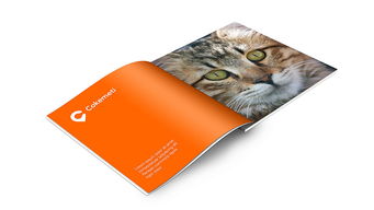 酷客美地企業形象設計 塑造品牌靈魂，引領市場潮流